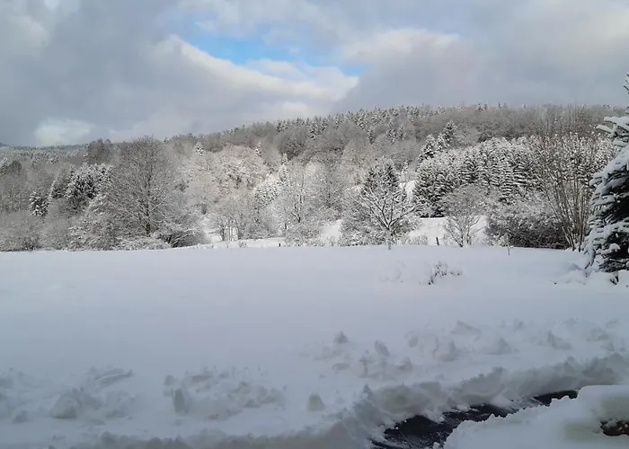 Am Stachelsrain Zella-Mehlis