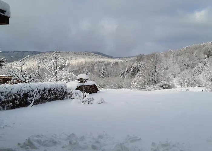 Am Stachelsrain * Zella-Mehlis